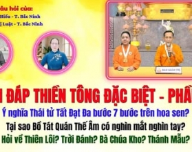 Giải Đáp Thiền Tông 2026 - Đặc Biệt Phần 21: Tại sao Đức Phật bước đi 7 bước trên hoa sen