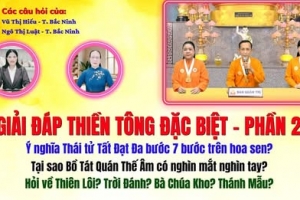 Giải Đáp Thiền Tông 2026 - Đặc Biệt Phần 21: Tại sao Đức Phật bước đi 7 bước trên hoa sen