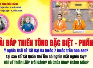 Giải Đáp Thiền Tông 2026 - Đặc Biệt Phần 21: Tại sao Đức Phật bước đi 7 bước trên hoa sen